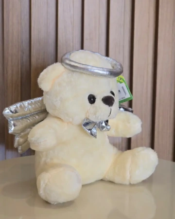 Afeto Presentes Religiosos - Livro - Complexo de Zaqueu