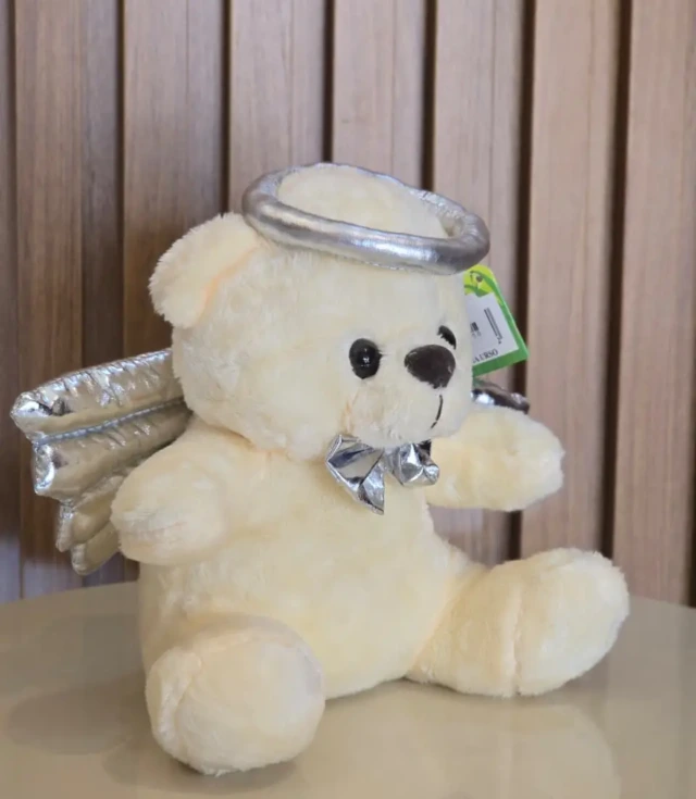 Afeto Presentes Religiosos - Livro - Complexo de Zaqueu